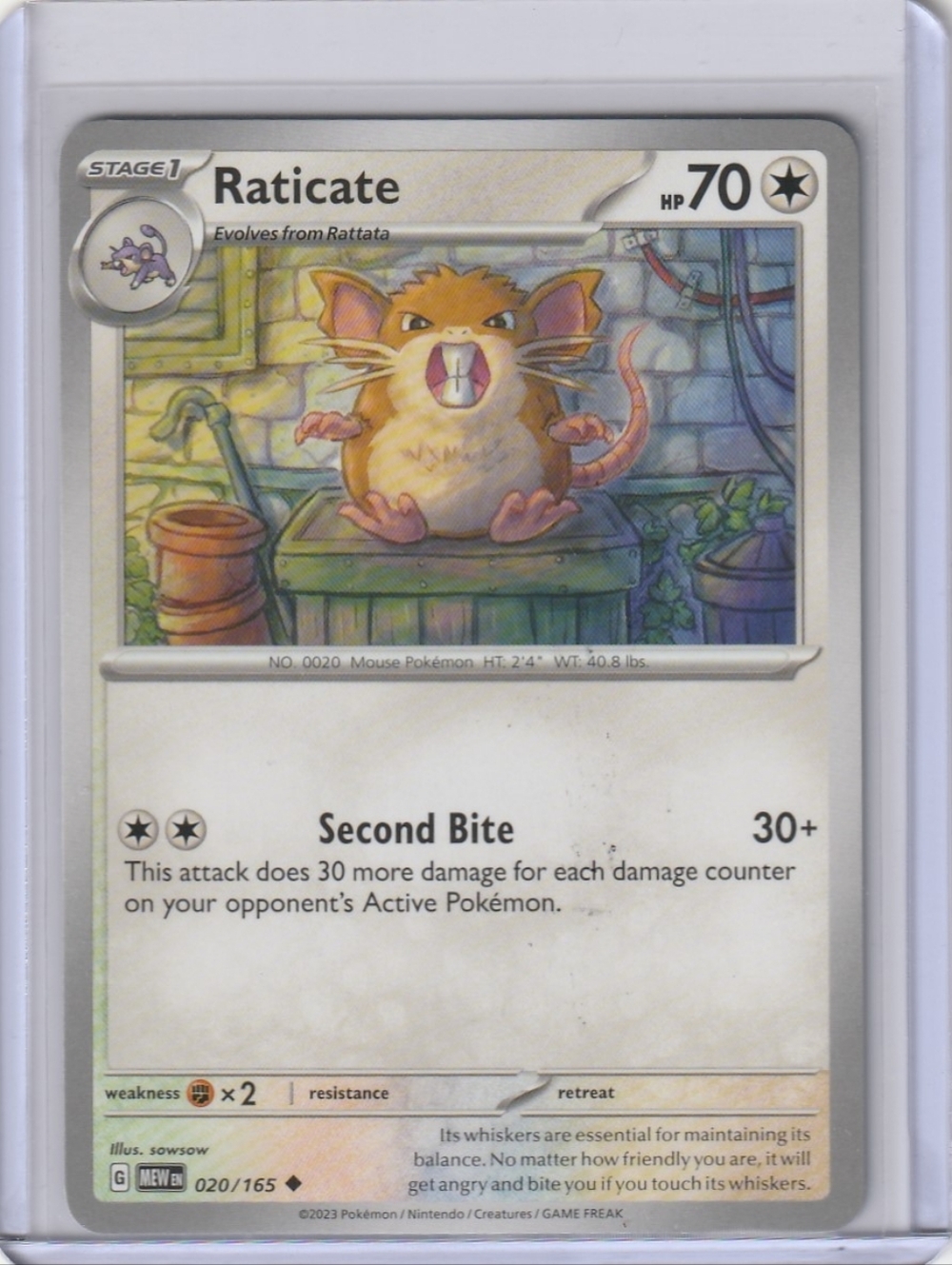 Raticate - SV: Scarlet & Violet 151 020/165 - Pokémon Trading Card